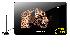 EVOLVE 8" MULTIMEDI�LN� LCD TV TWIST S DVB - T TUNEREM A INTERN� BATERI� (DIVX, JPEG, USB, SDHC