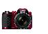 NIKON DIGIT�LN� FOTOAPAR�T COOLPIX L120 RED CCD 14 MPX, 21X ZOOM, NI - HM, 3.0" LCD, SD/ SDHC/ 