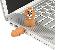 TRACER FLASH DISK SQUIRREL VEVERKA 4GB, USB 2.0 